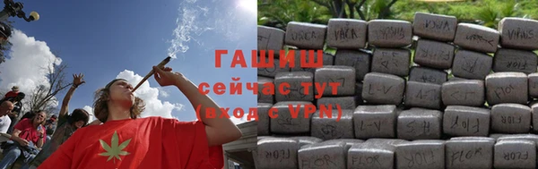 дживик Няндома