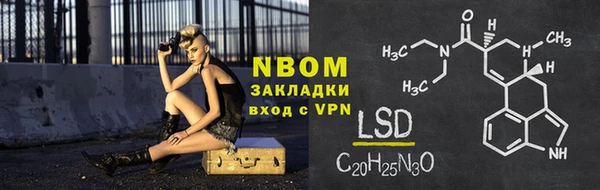 дживик Няндома