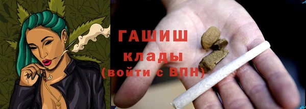 дживик Няндома