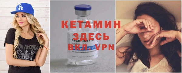 дживик Няндома