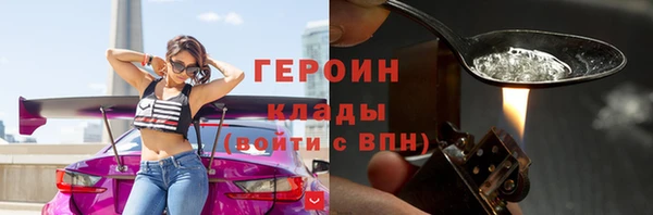 дживик Няндома