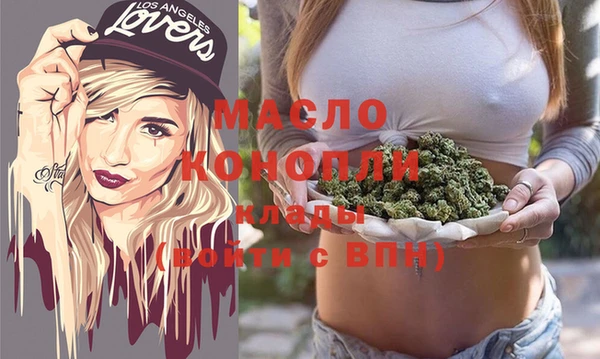 дживик Няндома