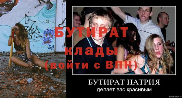 дживик Няндома