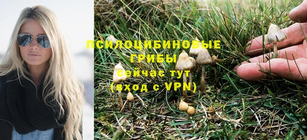 молекула духа Армянск