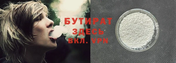 дживик Няндома