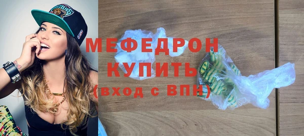 дживик Няндома