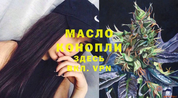 дживик Няндома