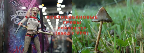бошки Нягань