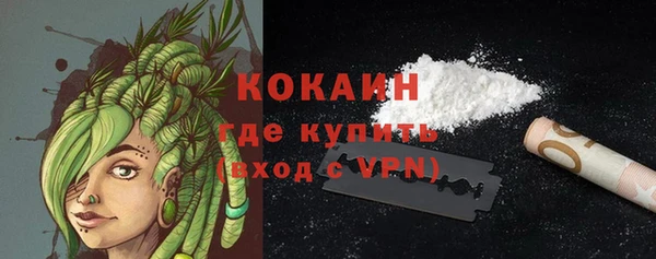 шишки Осинники