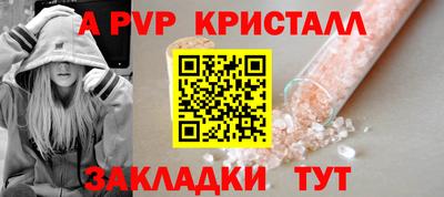 шишки Донской