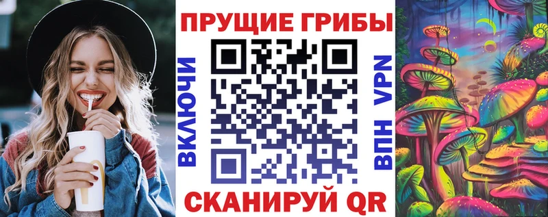 как найти закладки  Борисоглебск  Псилоцибиновые грибы MAGIC MUSHROOMS 