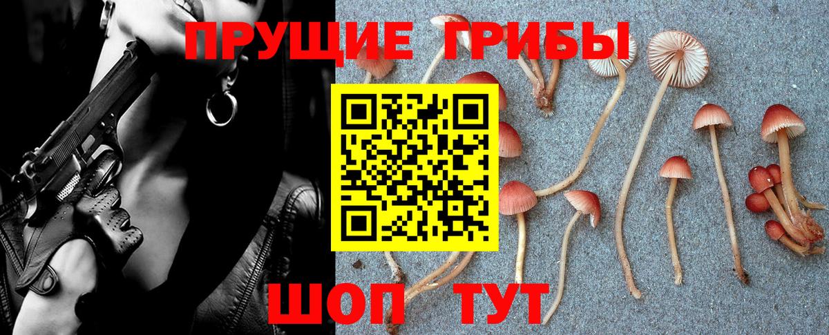 Галлюциногенные грибы Cubensis  Вход с VPN  Борисоглебск  закладка  Псилоцибиновые грибы Psilocybine cubensis 